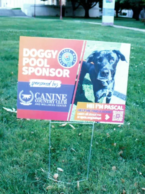 The hospital's booth at the SPCA of Texas' Strut Your Mutt